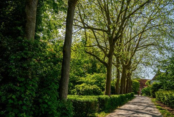 Natuurhuisjes Lust En Last Sommelsdijk Екстер'єр фото